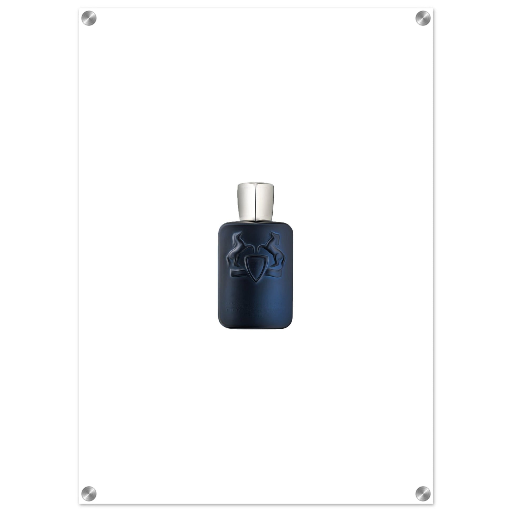 Stallion Acrylic Print - Chaos Fragrances