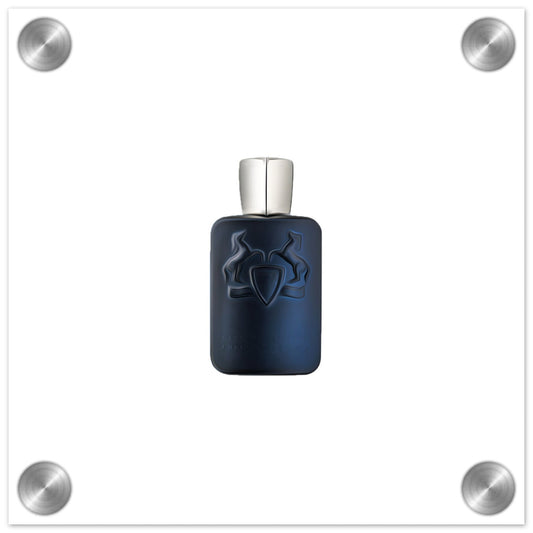 Stallion Acrylic Print - Chaos Fragrances