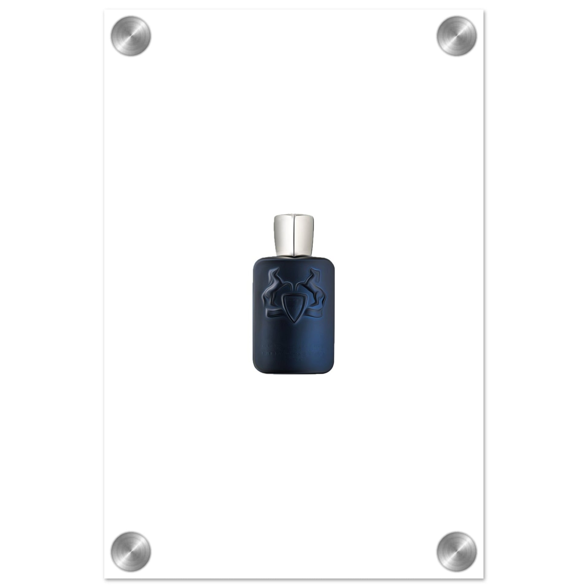 Stallion Acrylic Print - Chaos Fragrances