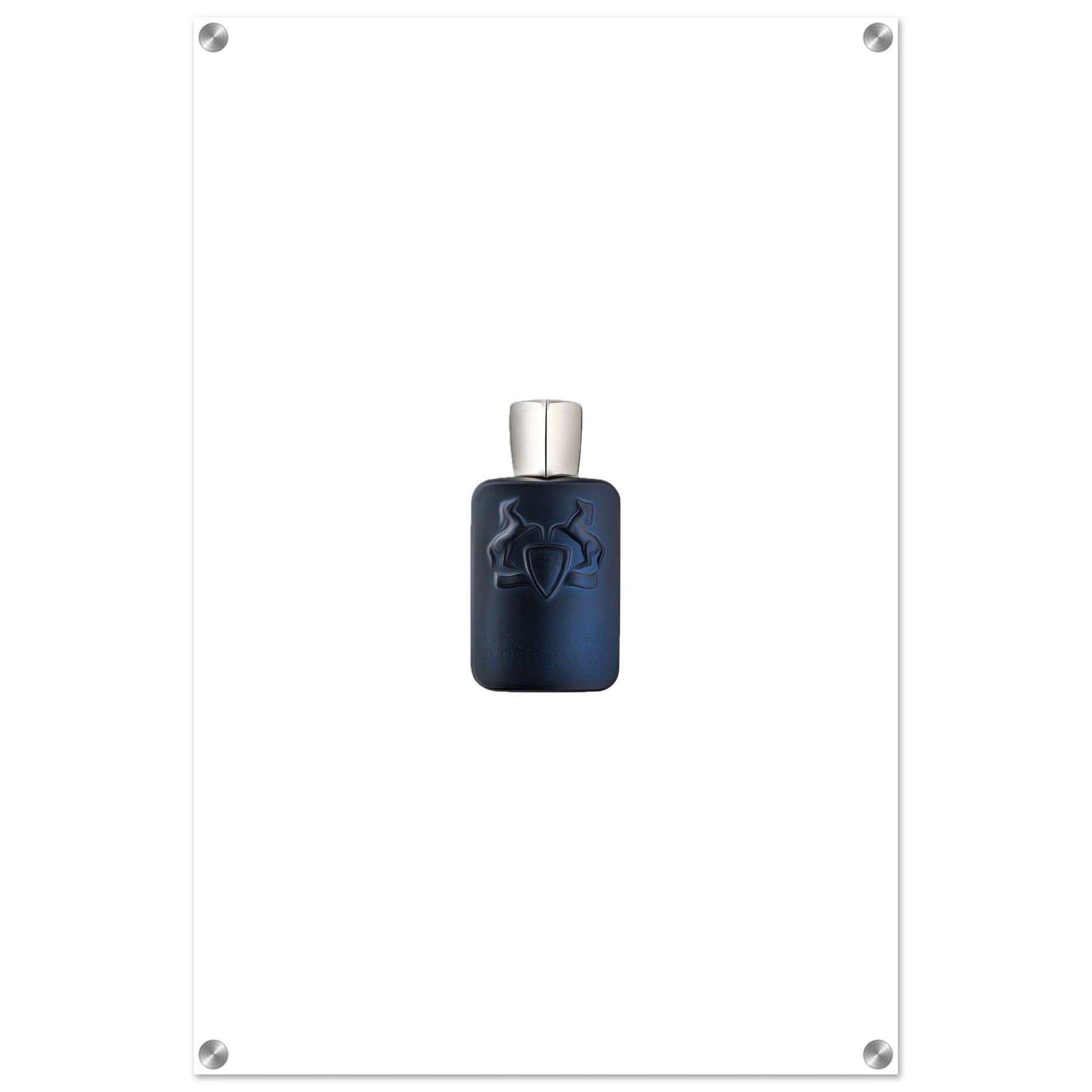 Stallion Acrylic Print - Chaos Fragrances