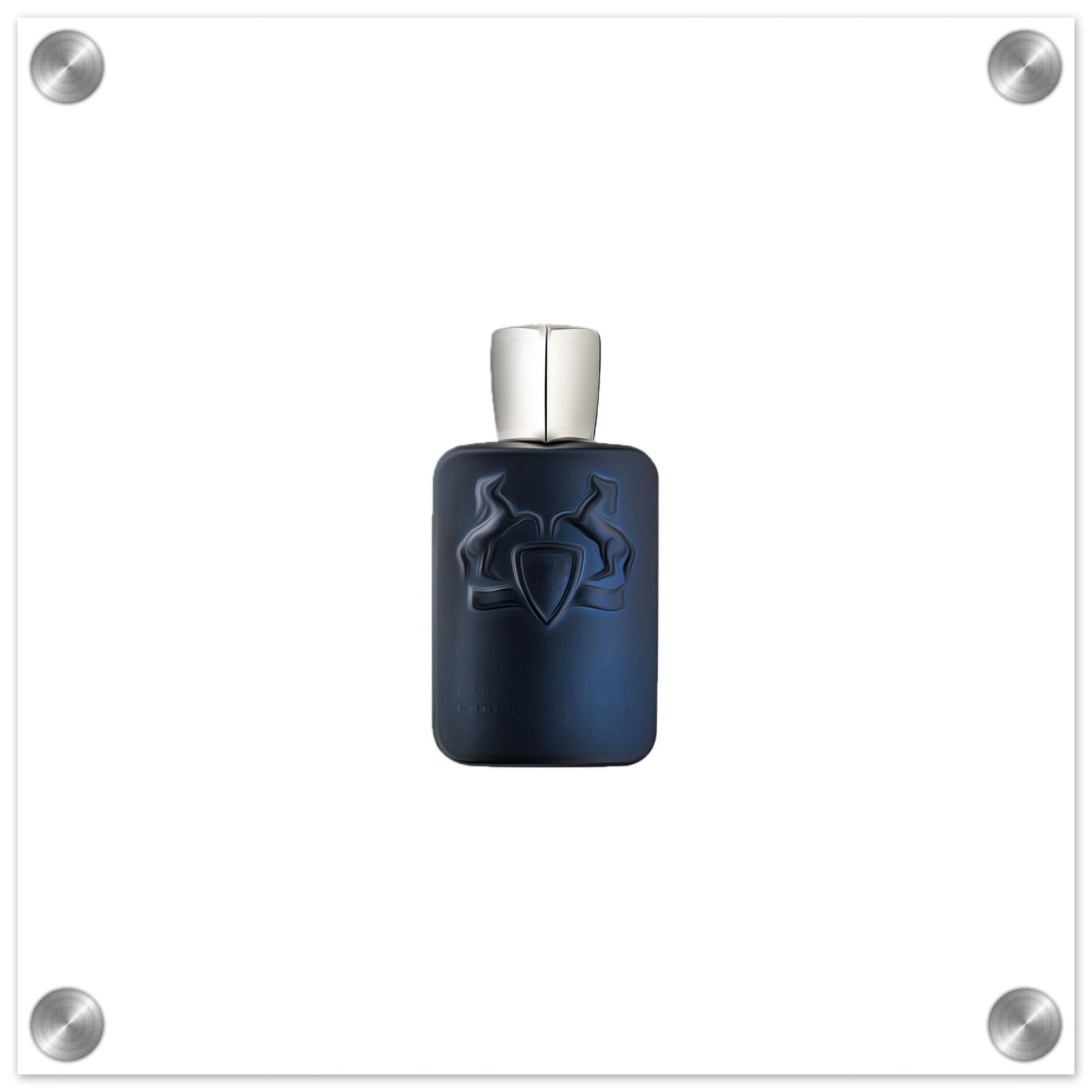 Stallion Acrylic Print - Chaos Fragrances