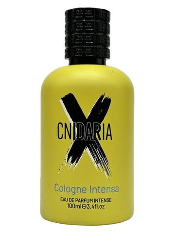 Samam Cnidaria X Cologne Intense fragrance bottle