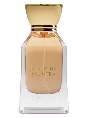 Phenom Fleur de Socotra