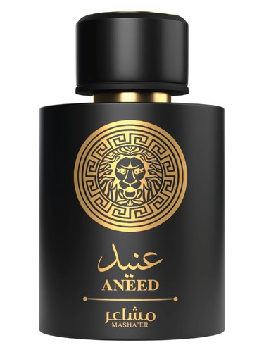 Mashaer Aneed