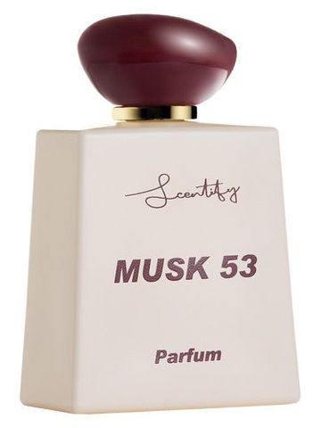 Scentify Musk 53 fragrance bottle