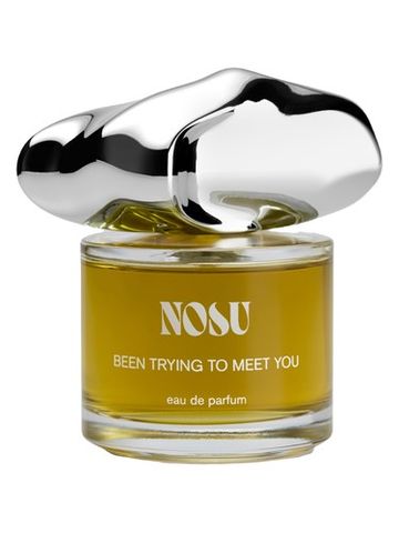 Nosu Been Trying To Meet You fragrance bottle