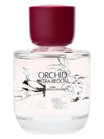 Zara Orchid Extra-Bloom fragrance bottle