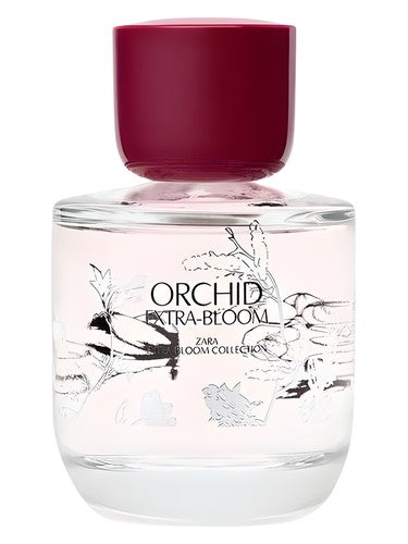 Zara Orchid Extra-Bloom fragrance bottle