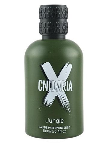 Samam Cnidaria Jungle fragrance bottle