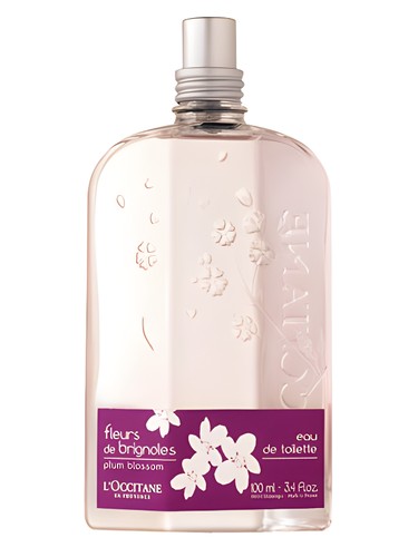 L'Occitane en Provence Fleurs de Brignoles (Plum Blossom) fragrance bottle