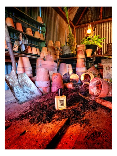 Solstice Scents Wilcox's Potting Shed fragrance bottle