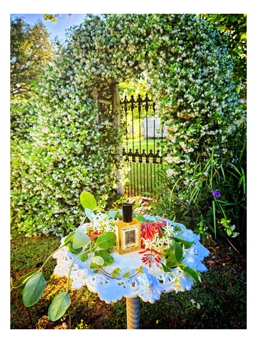 Solstice Scents Queen of Dawn fragrance bottle