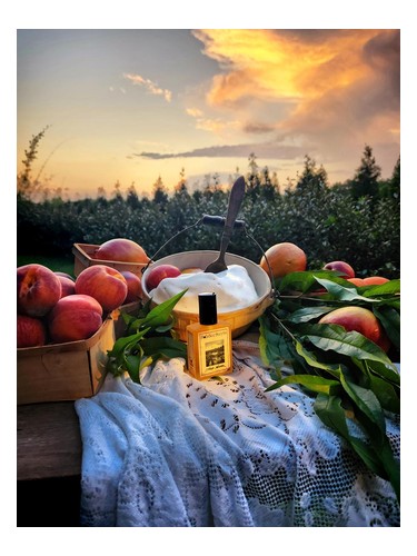 Solstice Scents Iced Nectar fragrance bottle