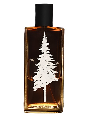 Pineward Perfumes Lime Cola fragrance bottle