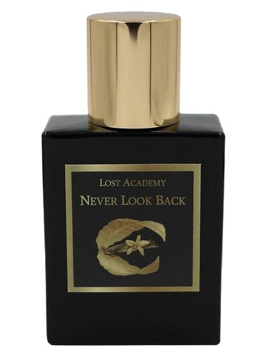 Lost Academy Never Look Back