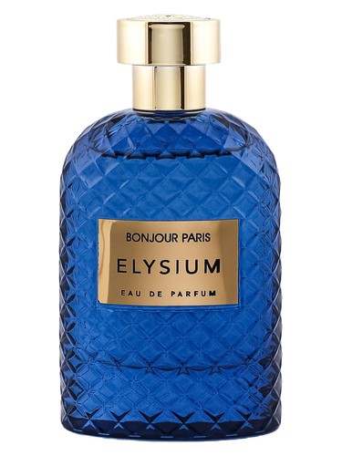 Bonjour Paris Elysium