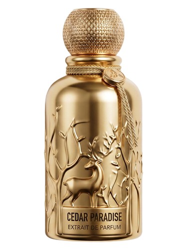 Auraa Desire Cedar Paradise fragrance bottle