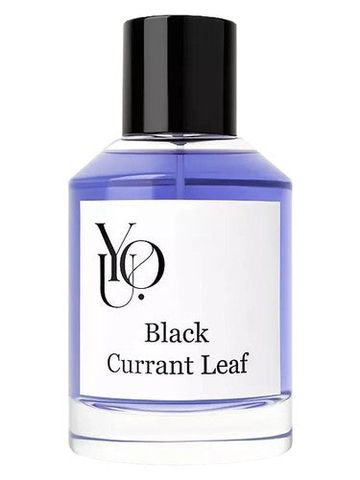 YOU Black Currant Leaf fragrance bottle