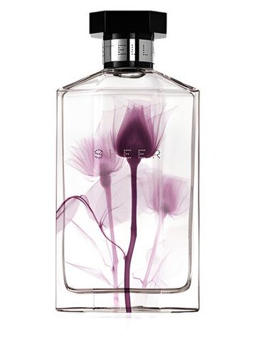 Stella McCartney Sheer Stella 2011 fragrance bottle