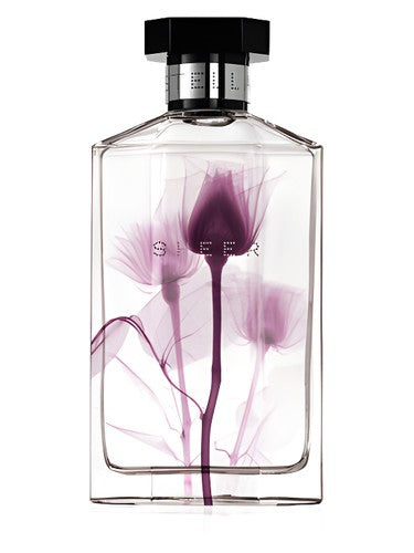 Stella McCartney Sheer Stella 2011 fragrance bottle