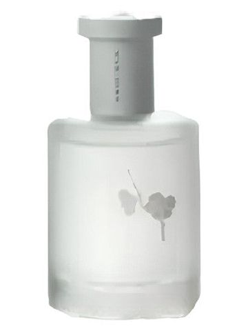 Man Song 慢宋 Moonlight in Snow 雪月凝香 fragrance bottle