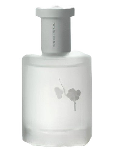 Man Song 慢宋 Moonlight in Snow 雪月凝香 fragrance bottle