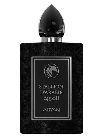 Adyan by Anfar Stallion D'Arabie fragrance bottle