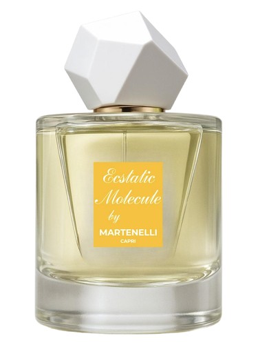 Martenelli Ecstatic Molecule fragrance bottle