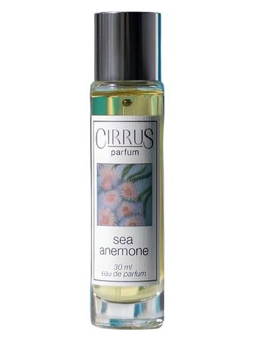 Cirrus Parfum Sea Anemone fragrance bottle