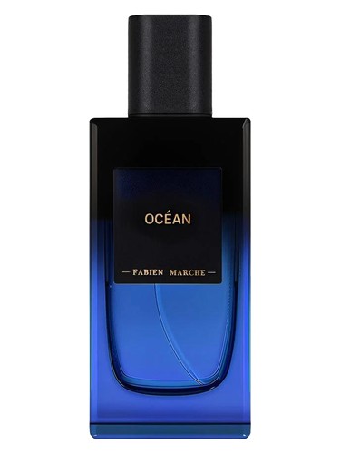 Fabien Marche Ocean