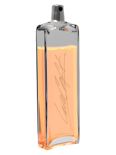 Tomb Raider Lara Croft fragrance bottle