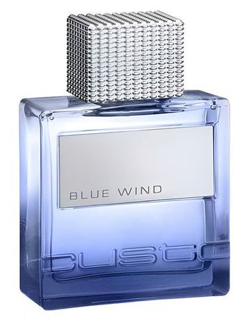 Custo Barcelona Blue Wind fragrance bottle
