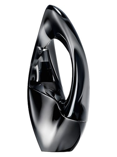 Donna Karan Woman