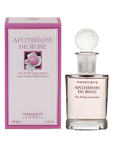 Marks Spencer Monotheme Classic Apothéose de Rose Pour Femme