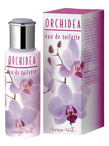 Bottega Verde Orchidea