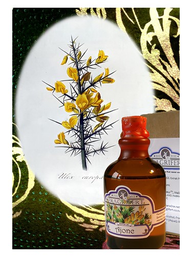 Fragrifert Parfumeur Ajonc fragrance bottle