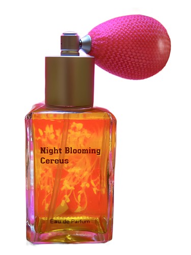Paragon Perfumes Night Blooming Cereus fragrance bottle