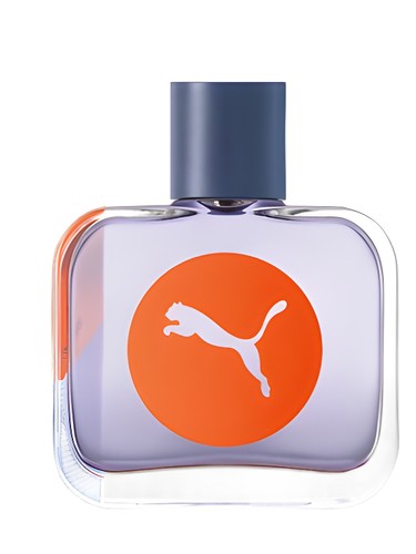 Puma Sync Man fragrance bottle