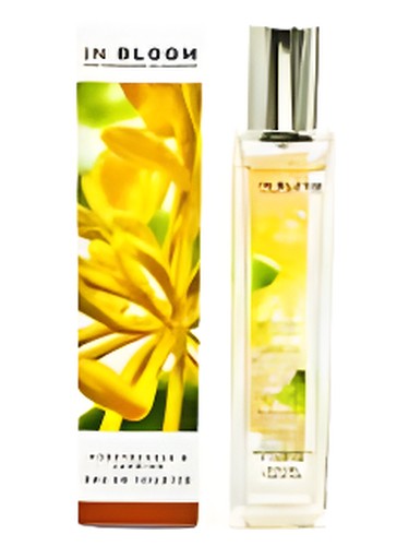 Marks Spencer Jasmine and Honeysuckle fragrance bottle