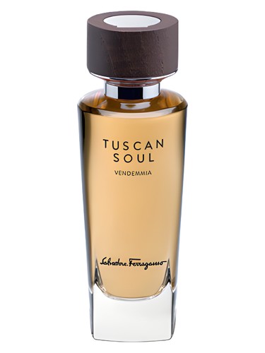Salvatore Ferragamo Vendemmia (2013) fragrance bottle