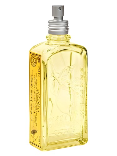 L Occitane en Provence Citrus Verbena Summer