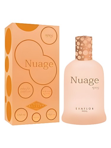 Evaflor Nuage Spicy fragrance bottle
