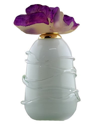 Junaid Perfumes Tiyoof