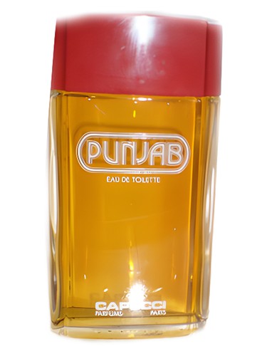 Roberto Capucci Punjab fragrance bottle