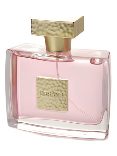 Prime Collection Urban Edition Women