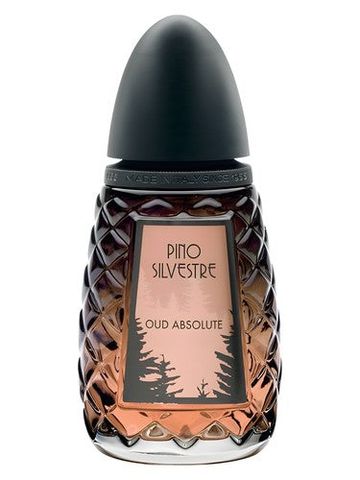 Pino Silvestre Oud Absolute fragrance bottle
