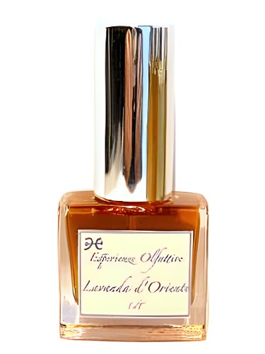 Esperienze Olfattive Lavanda d'Oriente