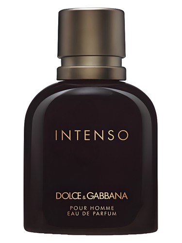 Dolce Gabbana Dolce&Gabbana Pour Homme Intenso fragrance bottle