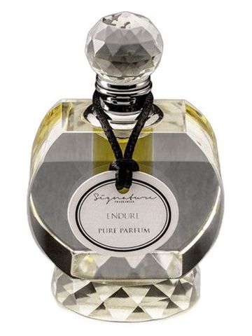 Signature Fragrances Endure fragrance bottle