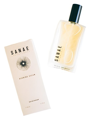 Sanae Intoxicants Burning Ocean